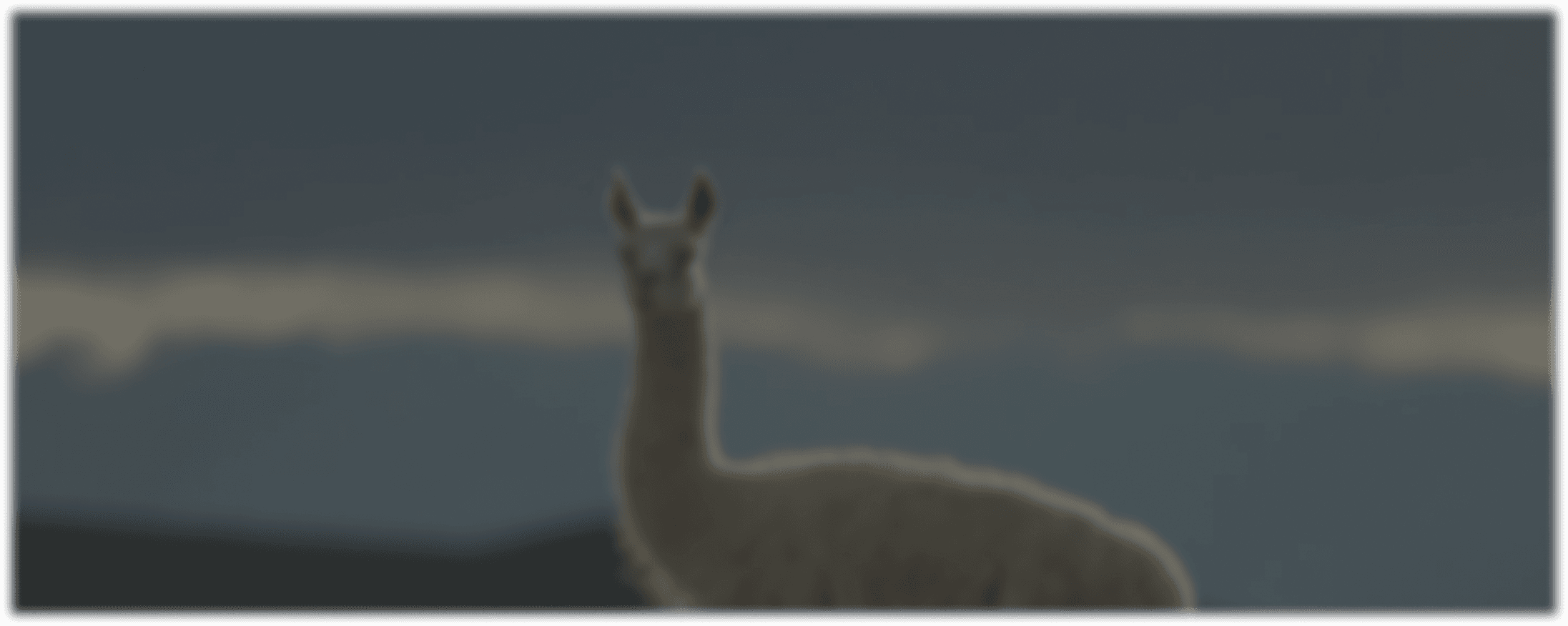 Fauna de la Patagonia, como llamas en un paisaje montañoso